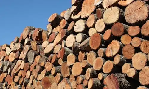 Leña colocada