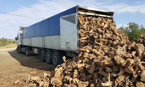 Camion de leña de encina