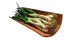 Leña para asar calcots