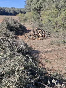 Limpieza cabercero parcelas