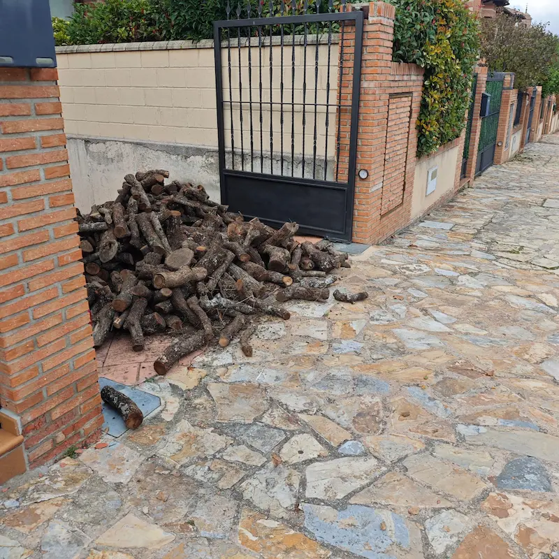 Mejor leña para chimenea