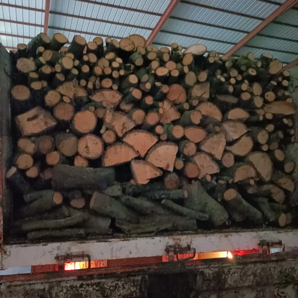 Cual es la mejor leña