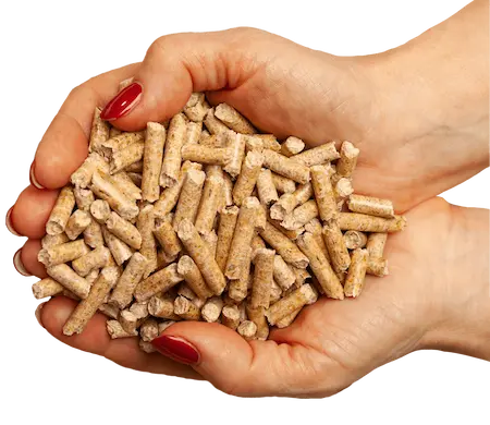 donde puedo comprar pellets