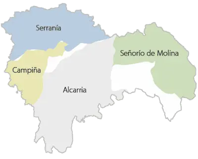 Deshollinador a domicilio en Guadalajara