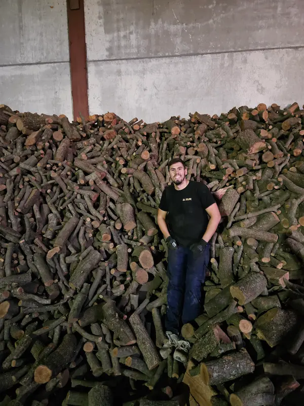 leña de encina barata