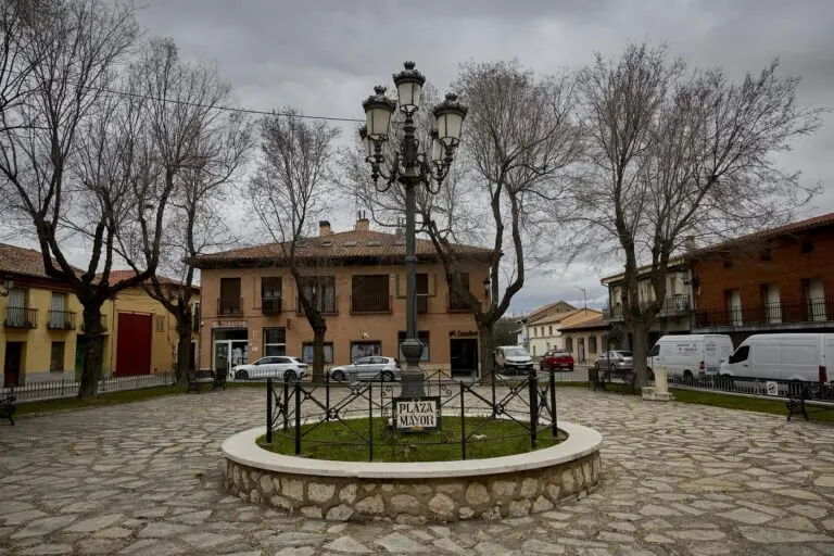 comprar leña en Fontanar