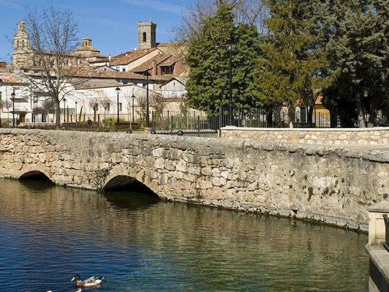 comprar leña en cifuentes