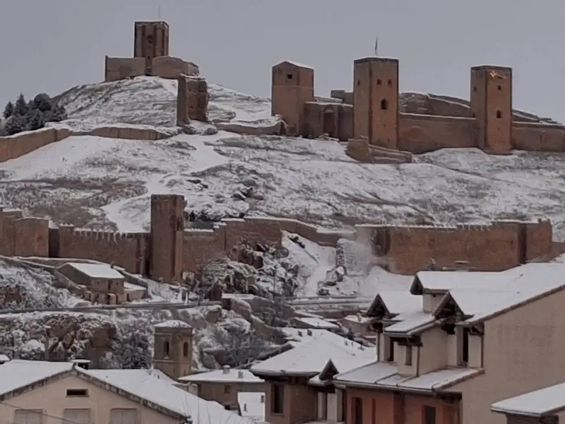 venta de leña en molina de aragon